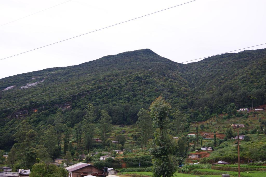 Winter Dream Holiday Bungalow Nuwara Eliya Ruang foto