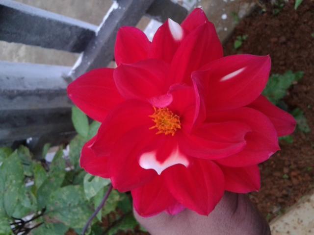 Winter Dream Holiday Bungalow Nuwara Eliya Ruang foto
