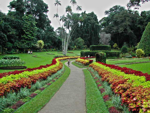 Winter Dream Holiday Bungalow Nuwara Eliya Bagian luar foto